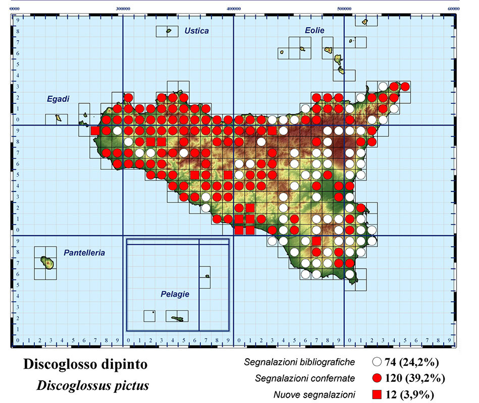 anfibi-di-sicilia-1