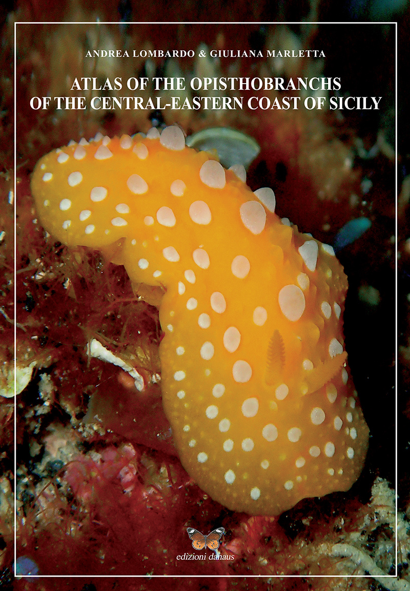 atlas-opistobranchi-cover_806090483