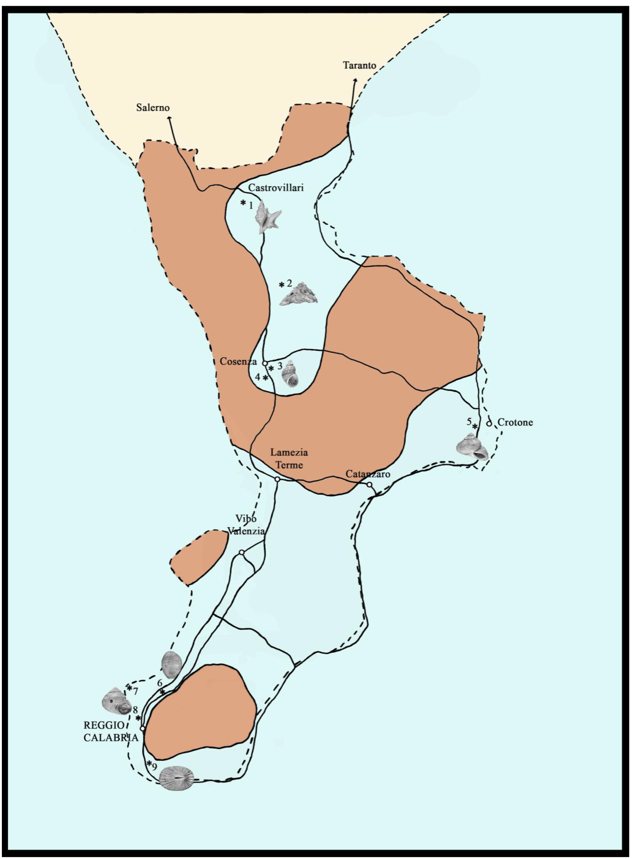 chirli-1