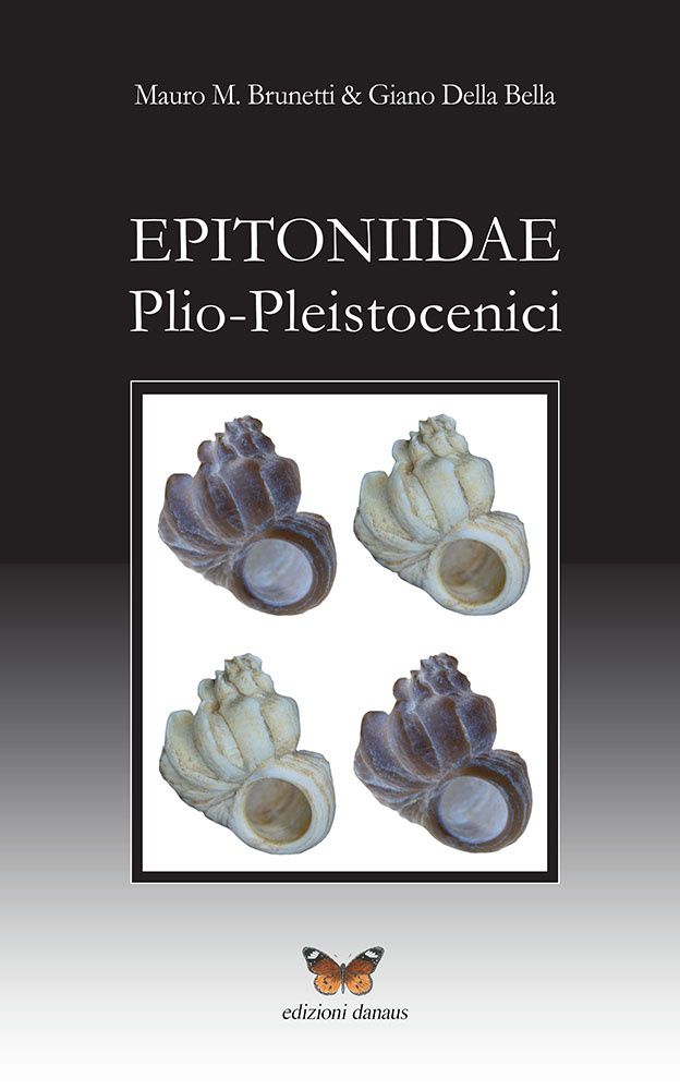 copertina_epitoniidae