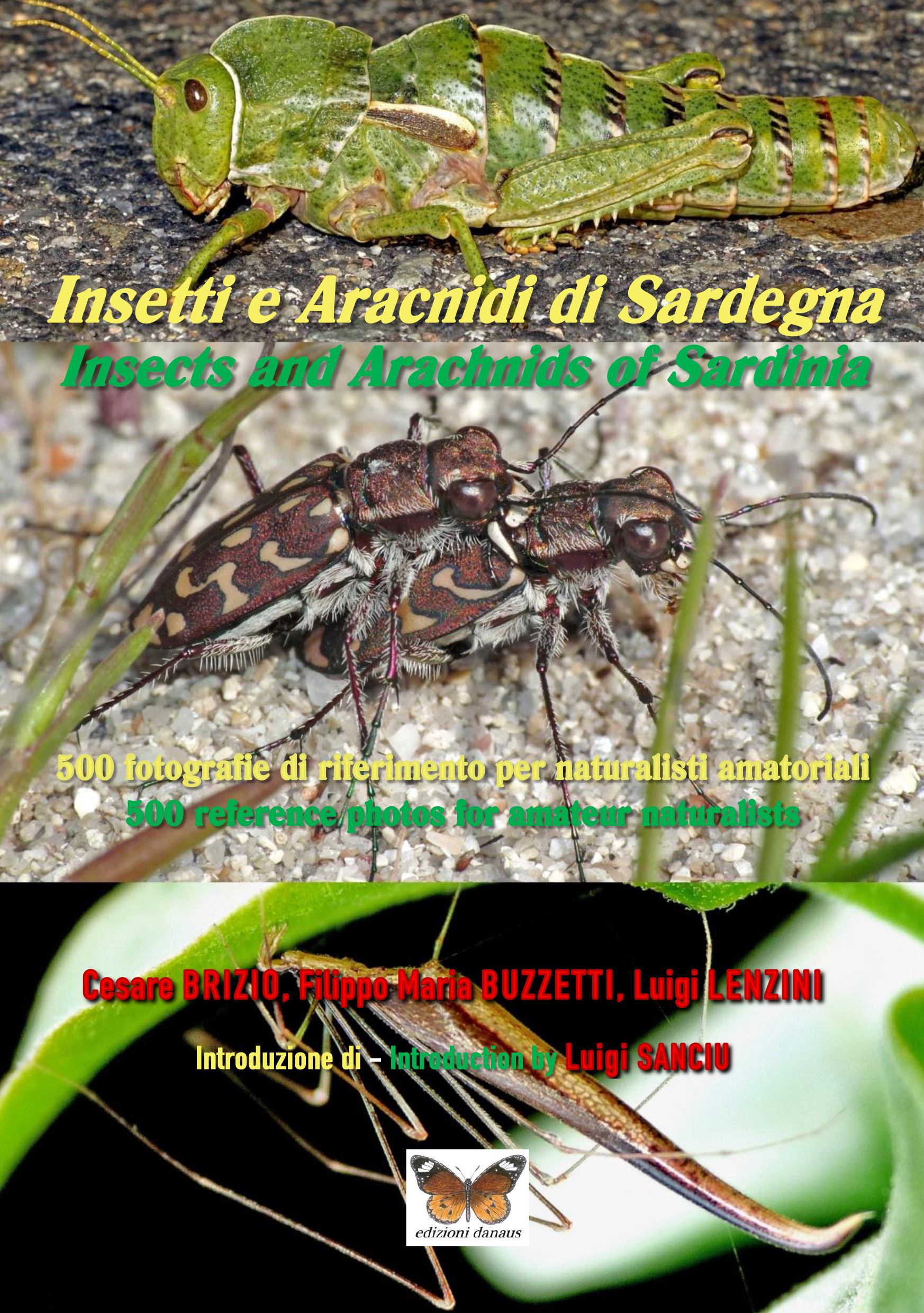 copertina_insetti_sardegna