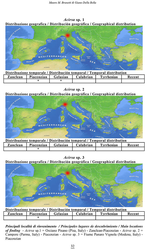 epitoniidae_2