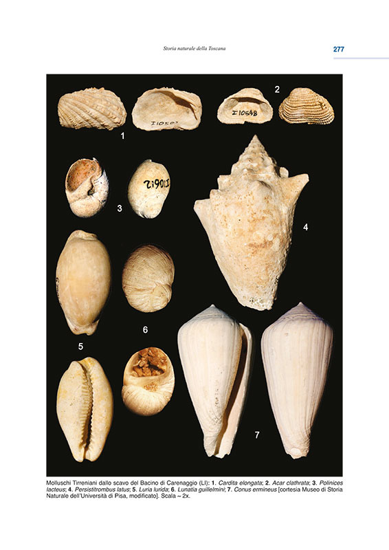 geologia-toscana-03