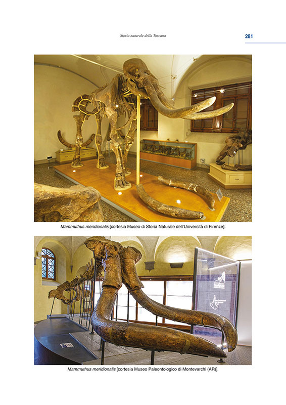 geologia-toscana-04