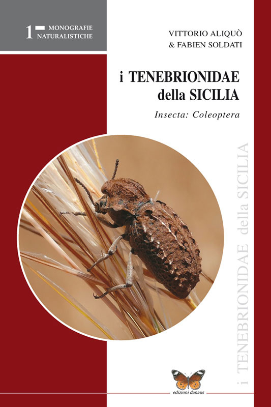tenebrionidae-sicilia