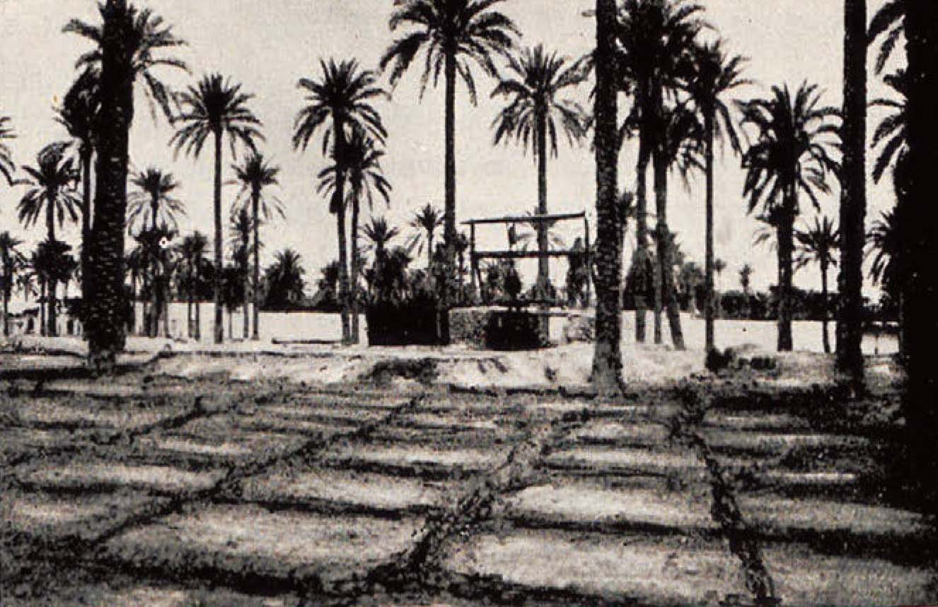tirare_la_terra_imp_br-60