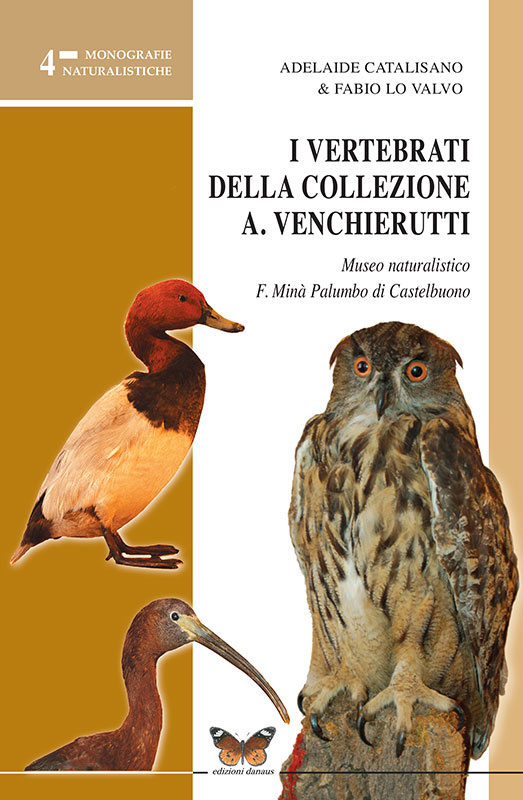 vertbrati-collez-venchierutti_148524895