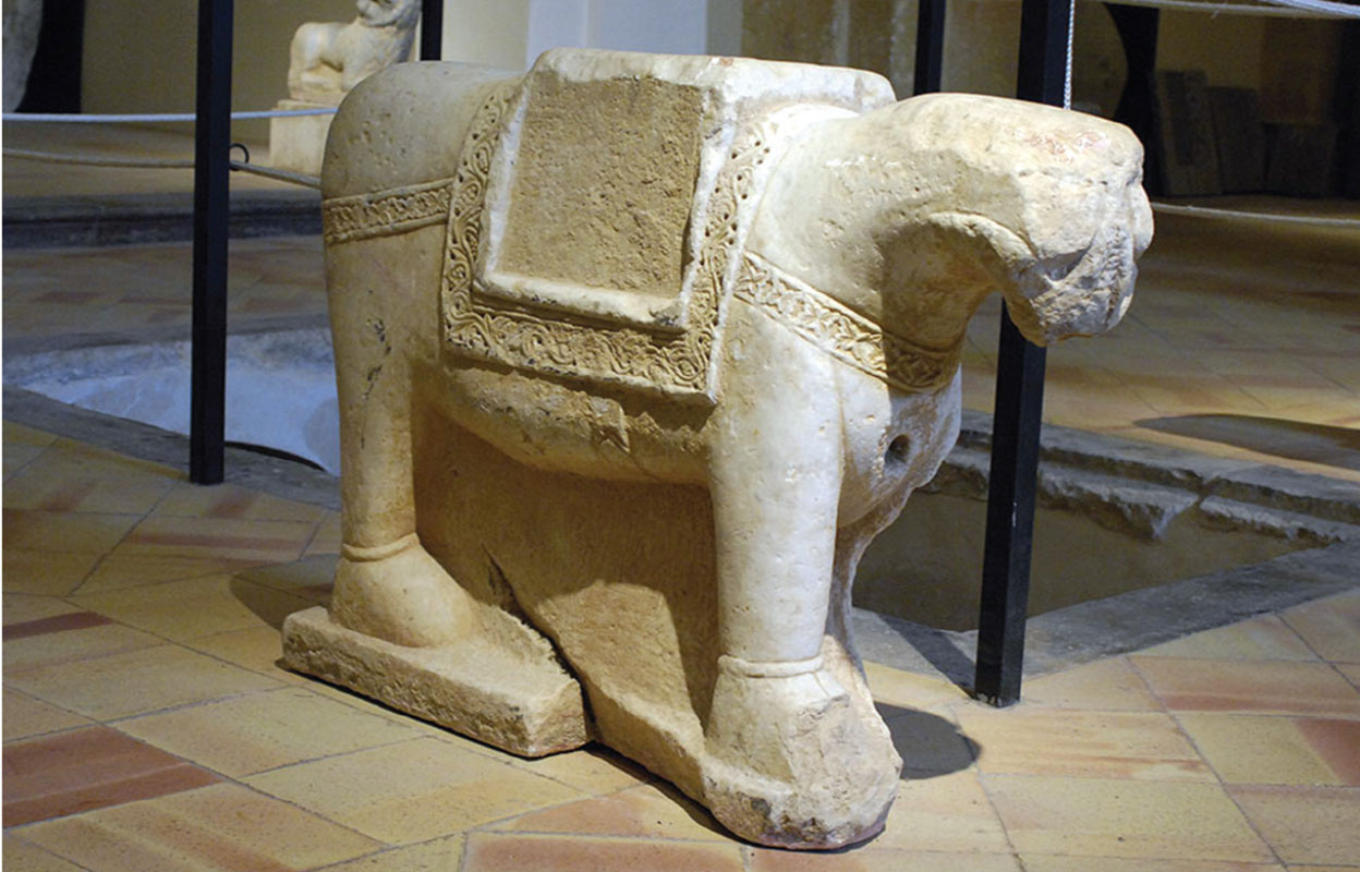zoologia-sicilia-araba-e-normanna-1