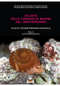 atlantidel-delle-conchiglie-marine-del-mediterraneo