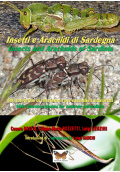 copertina_insetti_sardegna