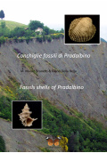 copertina_pradalbino