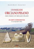 fossili-orciano
