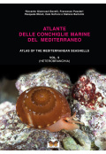 atlantidel-delle-conchiglie-marine-del-mediterraneo