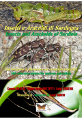copertina_insetti_sardegna