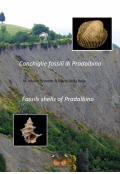 copertina_pradalbino