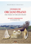 fossili-orciano