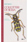 coleotteri-di-sicilia-parte-3
