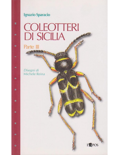 coleotteri-di-sicilia-parte-3